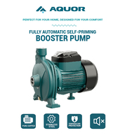 AQUOR 750W 25m Max. Förderhöhe Hocheffiziente Horizontale Gusseisen Selbstansaugende Energiesparende Kreiselpumpe