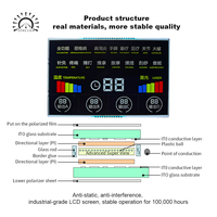 Pantalla LCD para Motocicleta, Pantalla Digital a Color con Segmentos VA, Tablero de Instrumentos para Bicicleta Eléctrica, Personalización de Fábrica OEM ODM