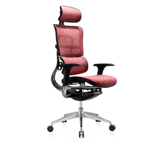 Bifma 5 Jaar Garantie Beste Kantoor Ergonomische Hoge Rug Mesh Bureaustoel Fauteuil