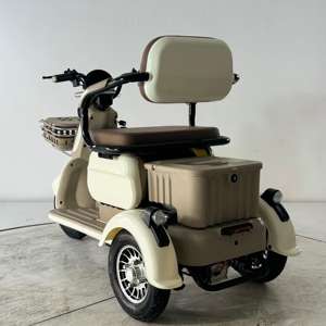 Triciclo eléctrico de ocio de tres ruedas de 800W, gran oferta 2023, triciclo de acero con alto contenido de carbono de 600W, bicicleta eléctrica de tres ruedas - Product Image 4