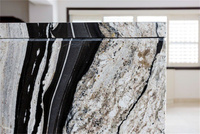 Veine blanche granit de Copacabana brésilien granit de cheval noir grandes dalles 600x600mm carreaux de granit noir