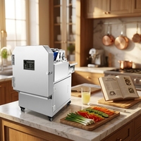 Commerciële automatische groente- en fruit snijmachines, VEGET SLICER voor restaurants, hotels en catering