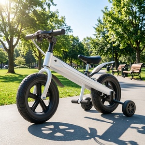 <span class=keywords><strong>Bicicleta</strong></span> <span class=keywords><strong>de</strong></span> <span class=keywords><strong>Equilibrio</strong></span> Eléctrica para Niños <span class=keywords><strong>de</strong></span> 12 Pulgadas con Llantas Anchas, <span class=keywords><strong>Bicicleta</strong></span> para Niños Pequeños para Jugar al Aire Libre, Conducción Segura y Estable, Primera <span class=keywords><strong>Bicicleta</strong></span> para Niños y Niñas - Product Image 1