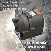 Baignoire Spa Moderne DXD-6X en Acrylique Autoportante Portable Écologique avec Contrôle Informatique, Souffleur d'Air Électrique et Drainage Intégré pour Massage