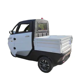 Enclosed electric tricycle cabin 1000W motor power cargo tricycle electric