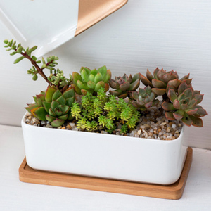 Décor <span class=keywords><strong>à</strong></span> la maison Bonsaï Pots <span class=keywords><strong>Blanc</strong></span> 6.7 Pouces Succulentes Cactus <span class=keywords><strong>Rectangulaire</strong></span> Jardinières En Céramique Avec Plateau En Bambou - Product Image 2