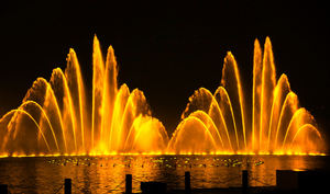 Fontana Decorativa da Giardino a Forma di Pavone Danzante di Alta Qualità con Illuminazione e Musica - Product Image 3