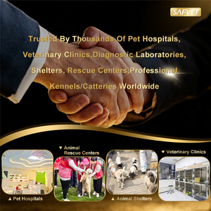 Kit de Prueba Rápida Veterinaria 4 en 1 LSH/EHR/ANA/CHW, Kit de Prueba Combinada para Diagnóstico Rápido de Dirofilaria en Perros, 98.9% de Precisión - Product Image 5