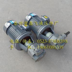 Conjunto de Motor y Bomba Hidráulica de Engranajes Cicloides Verticales y Horizontales BB-B16YJZ B20YJZ B25YJZ B32YJZ de 1.5KW - Product Image 1