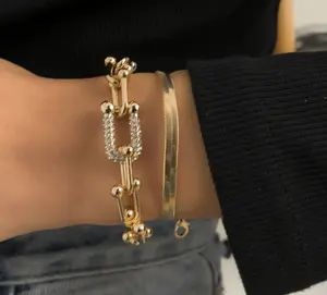 Flat Rắn Chain Charm Bracelet Cho Phụ Nữ Mạ Vàng Thép Không Gỉ Hình Chữ U Mỏng Rắn Xương Chain Bracelet Trang Sức Set