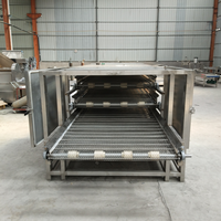 Doorlopende Industriële Elektrische Automatische Tunnel Transportband Droger Schone Droge Machine Voor Knoflook Bosbessen Elektrische Verwarming Gaasband