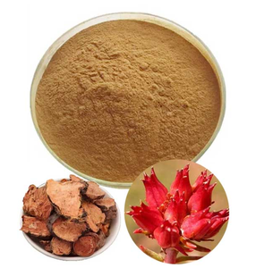 天然野生紅景天エキス粉末 サリドロシド オーガニックハーブサプリメント グルテンフリー 真空パックドラム 健康食品グレード - Product Image 1
