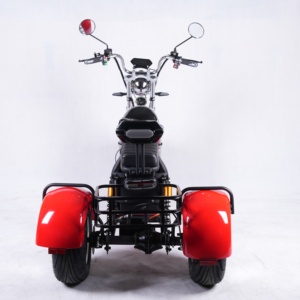 2025 EEC/COC Triciclos eléctricos certificados Adulto 2000W 3000W Asiento doble Scooters eléctricos de 3 ruedas Citycoco - Product Image 3