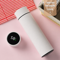 Bouteille d'eau intelligente en acier inoxydable 316, motif dessin animé, 500 ml, avec affichage LED tactile de la température, tasse isotherme avec couvercle, cadeau pour l'extérieur