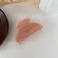 Barrettes à cheveux vintage pour femmes, pinces à cheveux en acétate pour filles, petites épingles à cheveux pour filles élégantes, accessoires pour cheveux