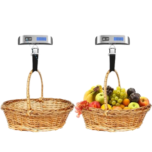 Travel Weigh Portable Digital Pocket Luggage Scale Battery Powered Hanging LCD Display 50kg Capacity Stainless Steel 1-Year - Product Image 1