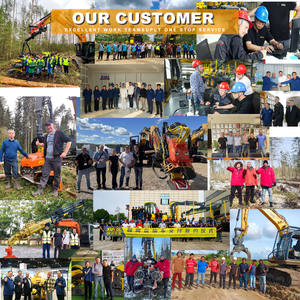 Cisailles à arbres pour l'Indonésie, machines de coupe pour excavateurs de 10 tonnes, 11 tonnes, 12 tonnes, 13 tonnes, 15 tonnes, jusqu'à 400 mm, cisailles à arbres à grappin - Product Image 6