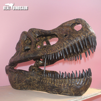 Répliques de fossiles de dinosaures artificiels pour exposition muséale, taille réelle, crâne de T-Rex