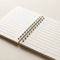 Paquete de 10 Mini Libretas de Bolsillo con Cubierta de Dibujos Animados, 10*8cm, Bloc de Notas con Doble Espiral
