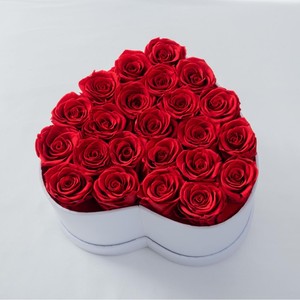 Rosas Preservadas al por Mayor para Navidad, Flores Preservadas para Siempre, Rosa Eterna en Caja - Product Image 2