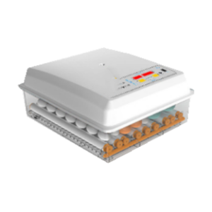 Incubateur d'œufs de volaille entièrement automatique pour poulets, autruches et cailles - Product Image 1