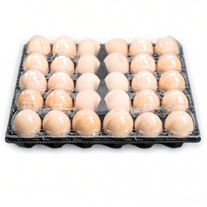 Vassoio Blister in Plastica Nera con Coperchio Separato, Materiale CPET Ecologico per Uova, Bestseller - Product Image 4