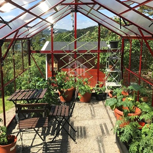 Serre <span class=keywords><strong>de</strong></span> <span class=keywords><strong>jardin</strong></span> en verre avec structure en aluminium blanc sur mesure G-MORE, pour la culture des fleurs, 8'x8' pieds, en vente - Product Image 2