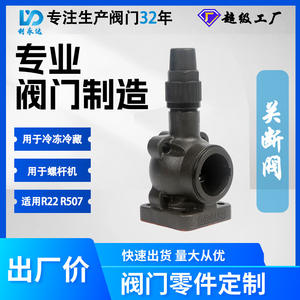 Vanne à opercule en fonte, raccords FPT x FPT, type de contrôle pour équipement de réfrigération à l'ammoniac - Product Image 5