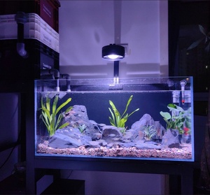 <span class=keywords><strong>Acquario</strong></span> in Vetro Ultra-Trasparente per Decorazione da Scrivania con Design Moderno e Vasca per Pesci - Product Image 4