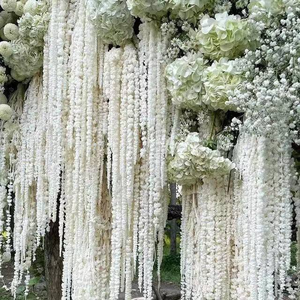 Flores Blancas Preservadas al <span class=keywords><strong>por</strong></span> <span class=keywords><strong>Mayor</strong></span>, Materiales Naturales Secos de Larga Duración para Arreglos de Boda, San Valentín y Decoración del Hogar - Product Image 1