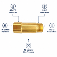 Vanne de protection contre les brûlures en laiton G 1/2 pouce, préréglée 47 ℃   Vanne de sécurité anti-brûlure auto-actuée pour eau chaude des hôpitaux et maisons de retraite