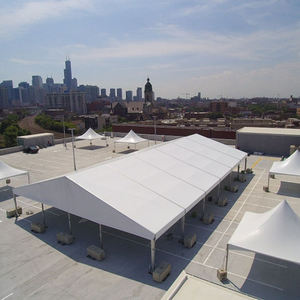 Carpa de Almacenamiento de Equipos para Almacenes Grandes de 80x100, Fabricante de Carpas Industriales Grandes - Product Image 4
