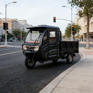 Triciclo Cerrado de Tres Ruedas con Capacidad de Carga de 400 kg, Motor de 60 V, Capacidad para 2 Pasajeros, Certificado por la CEE, 30-50 km/h, Autonomía de 50-70 km - Product Image 6