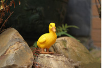 Statue de canard jaune grandeur nature, réaliste, peinte à la main en résine, décoration de jardin, pelouse, cour, ornements de piscine extérieure, artisanat