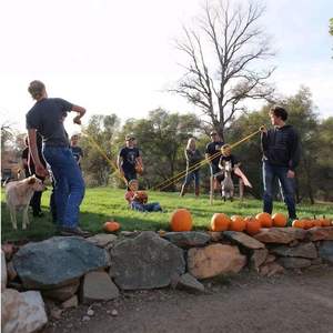 Lanceur de ballons d'<span class=keywords><strong>eau</strong></span> de 457 mètres pour jeu 3 personnes, bombes aquatiques et boules de neige, jouet lanceur de balles pour adultes, idéal pour les fêtes en plein air - Product Image 4