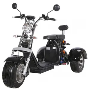 Offre Spéciale Trois roues gros pneu tricycle adulte citycoco scooter électrique 3 roues 1500 w/2000 w 12AH/20AH