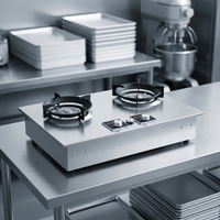Kompor Meja Stainless Steel 2 Tungku Efisiensi Tinggi untuk Rumah Tangga, Portable dengan Pengapian Piezo, Bahan Bakar Hemat Energi untuk Dapur Rumah