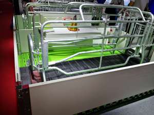 Swine Farm Pig Cage Farming Equipment Breeding <strong>Stalls</strong> of Galvanized Sow <strong>Farrowing</strong> <strong>Stall</strong> <strong>Farrowing</strong> <strong>Crates</strong> - Product Image 3