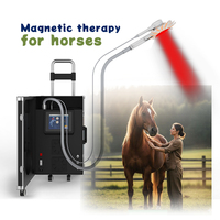 Appareil de thérapie magnétique PMST NEO Vet PEMF pour la réadaptation des blessures chez les chevaux, équipement de physiothérapie vétérinaire