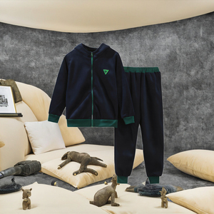 Ensemble de vêtements décontractés en velours doré pour garçons, automne-hiver, deux pièces avec sweat à capuche et pantalon long - Product Image 1