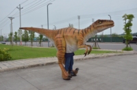 Costume de dinosaure animatronique personnalisé, modèles animatroniques, costumes de dinosaures, costume de Velociraptor