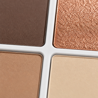 Palette de fards à paupières 10 couleurs – Nuances neutres, baies, mates et scintillantes – Maquillage longue tenue en poudre – Vente en gros
