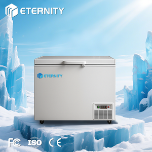 Congelatore a Shock ad Alte Prestazioni da 158L, 248L, 308L per Gelaterie e Negozi di Gelato - Product Image 1