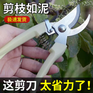 Rama Pruning Shears Stainless Steel Bypass Pruner Ivory White Handle Gardening Tool - Product Image 4