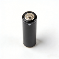 Baterai Alkaline AA Ultra-Tahan Lama 1.5V dengan Output Tegangan Konstan Kapasitas 2850mAh Kompatibel dengan Peralatan Kantor dan Mainan