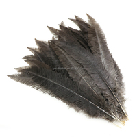 Plumes d'autruche teintes de 24 à 26 pouces, plumes de nandou taillées de 40 à 60 cm pour les costumes et décorations de fête et de carnaval