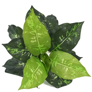 19 <span class=keywords><strong>foglie</strong></span> grandi <span class=keywords><strong>foglie</strong></span> di seta autunnali piante artificiali di Aglaonema per la decorazione della parete - Product Image 6