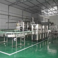 Volautomatische Vruchtensap Vullen Productielijn Ananas Vruchtensap Concentraat Pulp Jam Verwerking Machine Fabriek