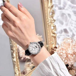 Montres pour femmes PAGANI DESIGN 1789, marque de luxe, montre à quartz, mode raffinée, calendrier, cuir, phase lunaire, cadeau, Reloj Mujer - Product Image 5
