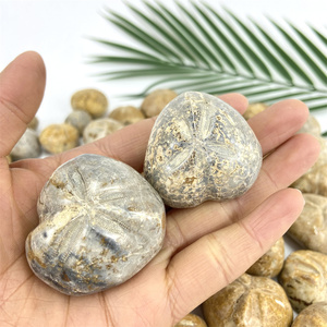 Bán Sỉ Đá Chữa Bệnh Hóa Thạch Tự Nhiên Hóa Thạch Nhím Biển Để Thiền Định - Product Image 5